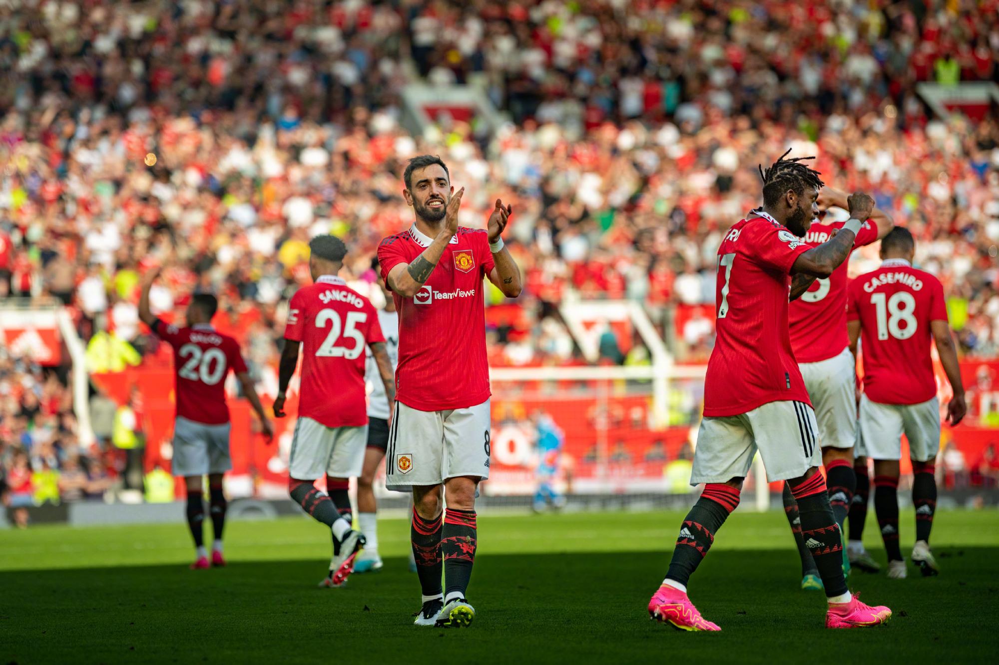 范登贝尔赫 范登贝尔赫